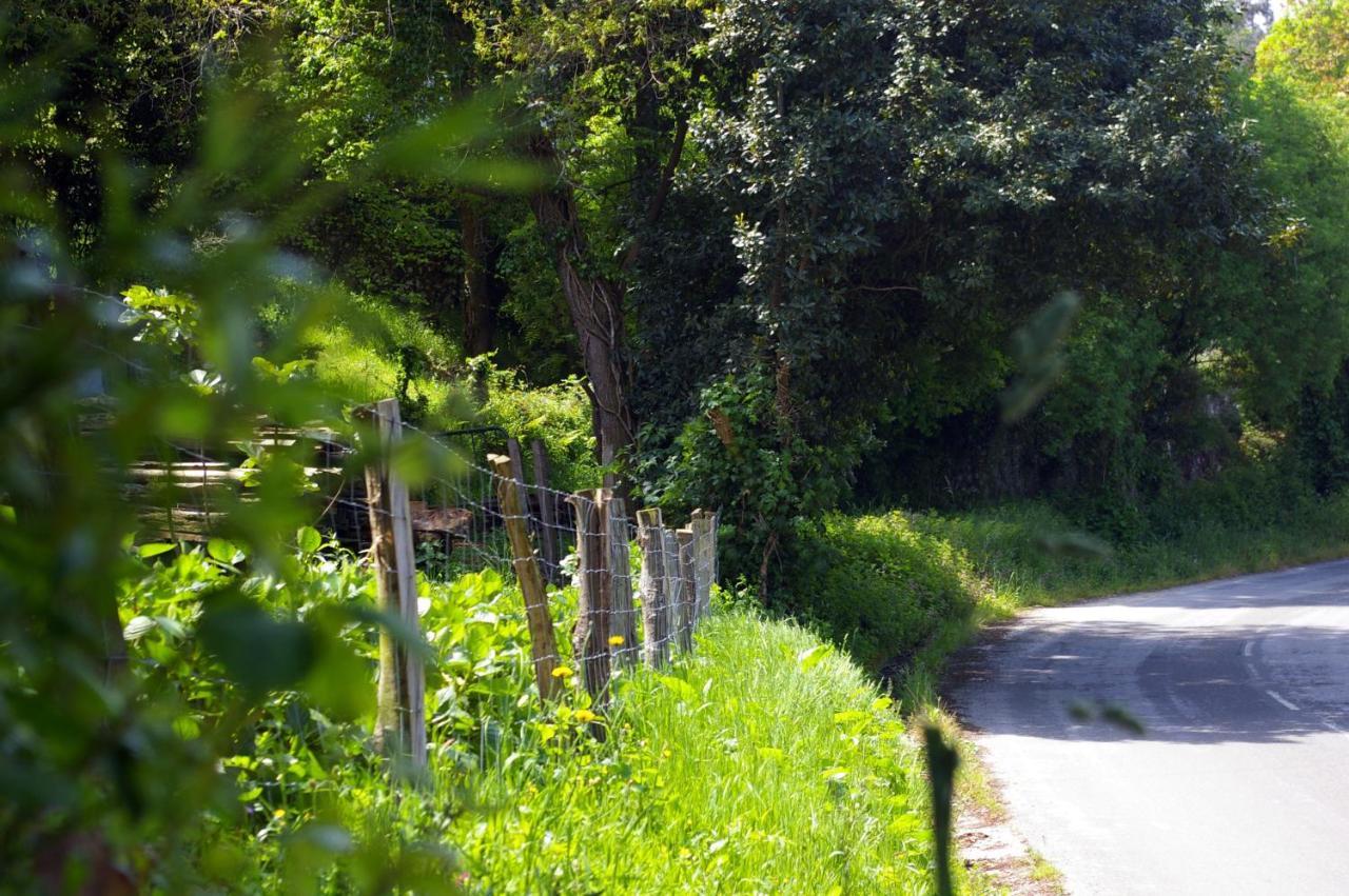 Séjour à la campagne Casa Pelayin